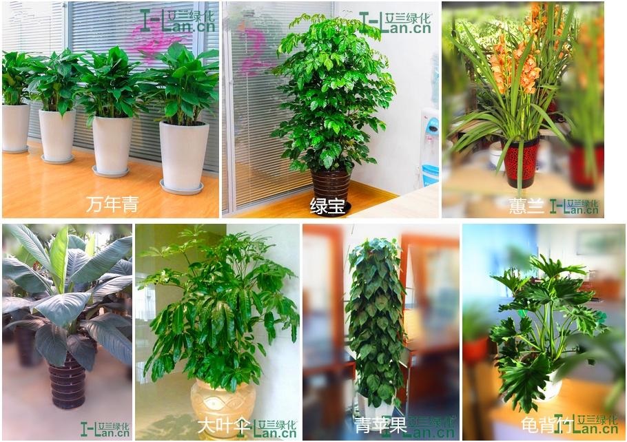 k豆钱包官方网站 - kdpay钱包